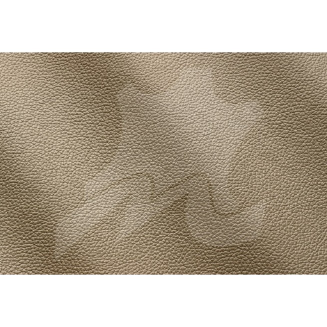 Aligo Group фото